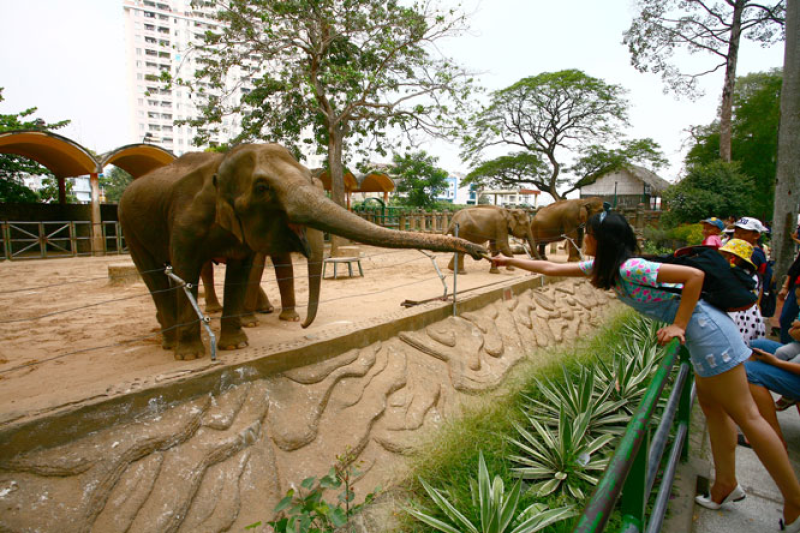 Đến thảo cầm viên bạn sẽ khám phá thế giới động vật đầy thú vị @internet