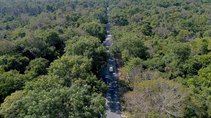 Khu bảo tồn thiên nhiên Bình Châu - Phước Bửu.